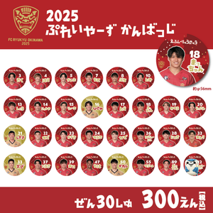 2025ぷれいやーずかんばっじ（ぶらいんど）