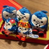 2026FC琉球折りたたみバスケット