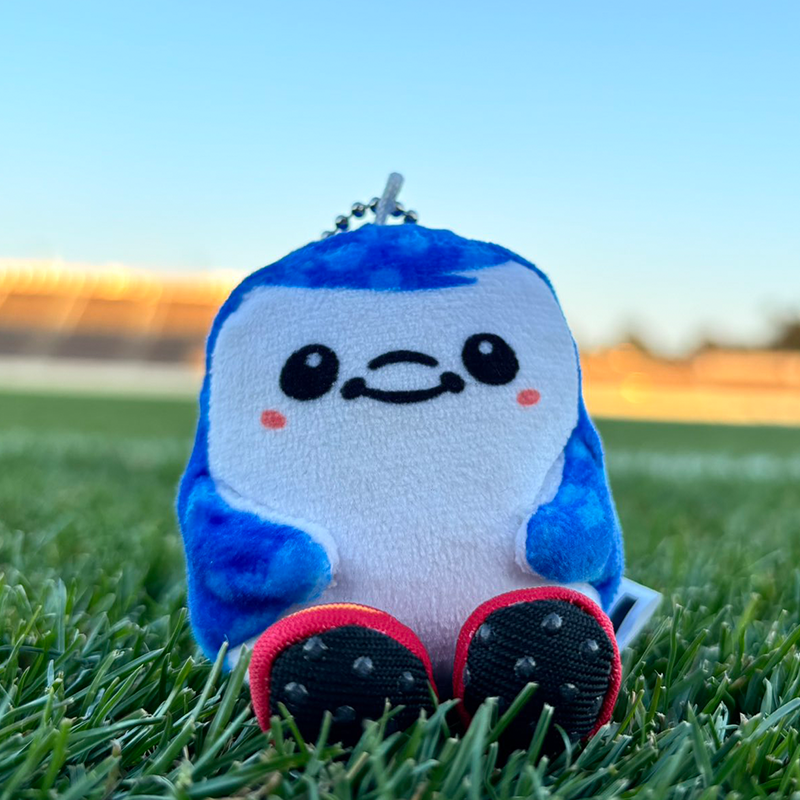 FC琉球オンラインショップ｜FC RYUKYUの公式グッズ通販サイト