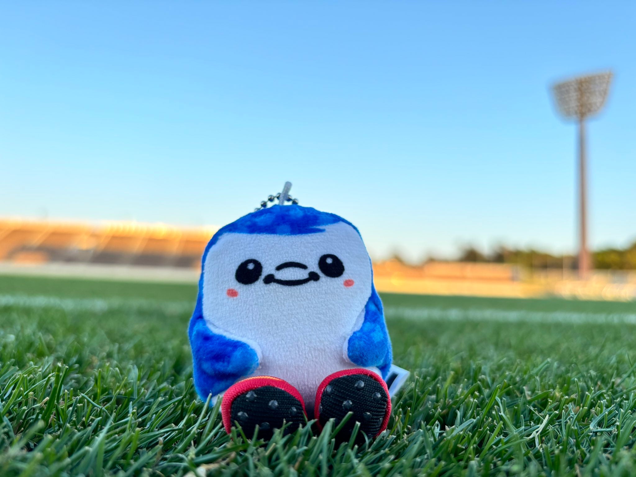 とってもちいさなジンベーニョぬいぐるみキーホルダー – FC琉球