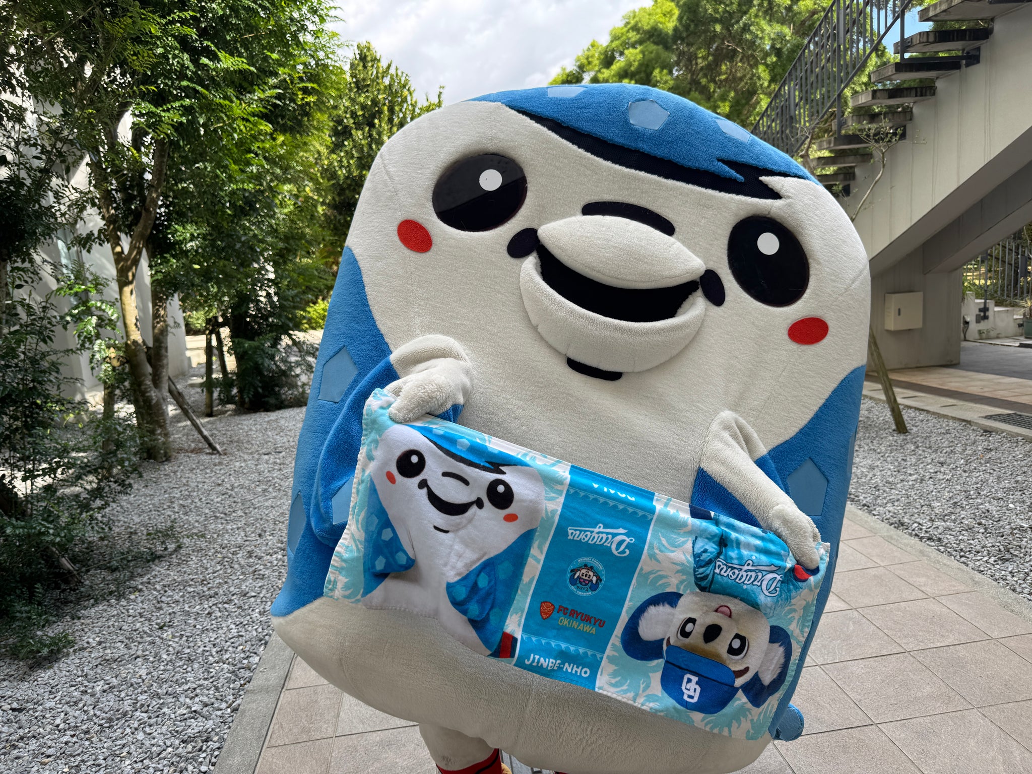 D 沖縄キャンプドアラ×ジンベーニョコラボ フェイスタオル – FC琉球